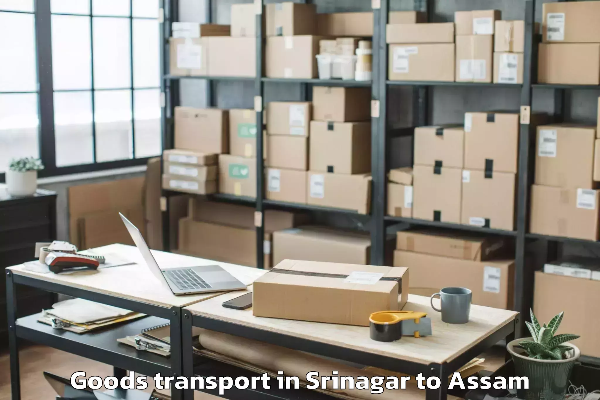 Book Your Srinagar to Balijan Goods Transport Today